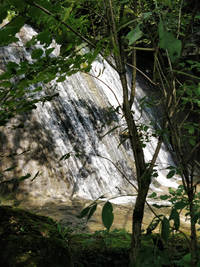 Immagine: timonchio_p